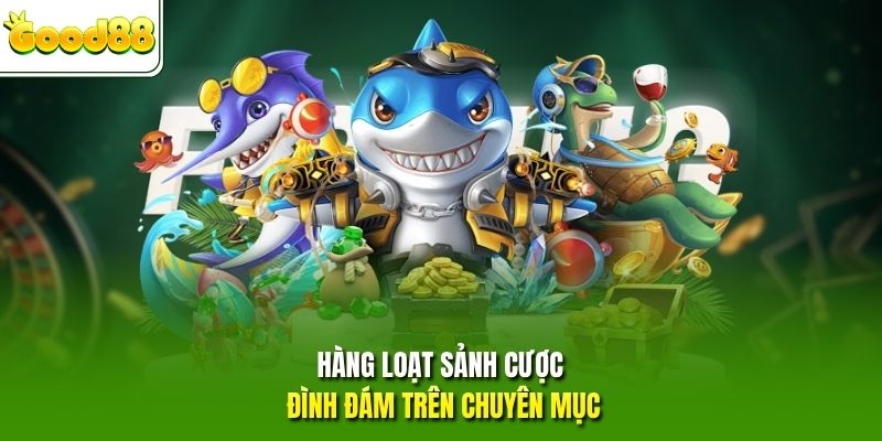 Hàng loạt sảnh cược đình đám trên chuyên mục